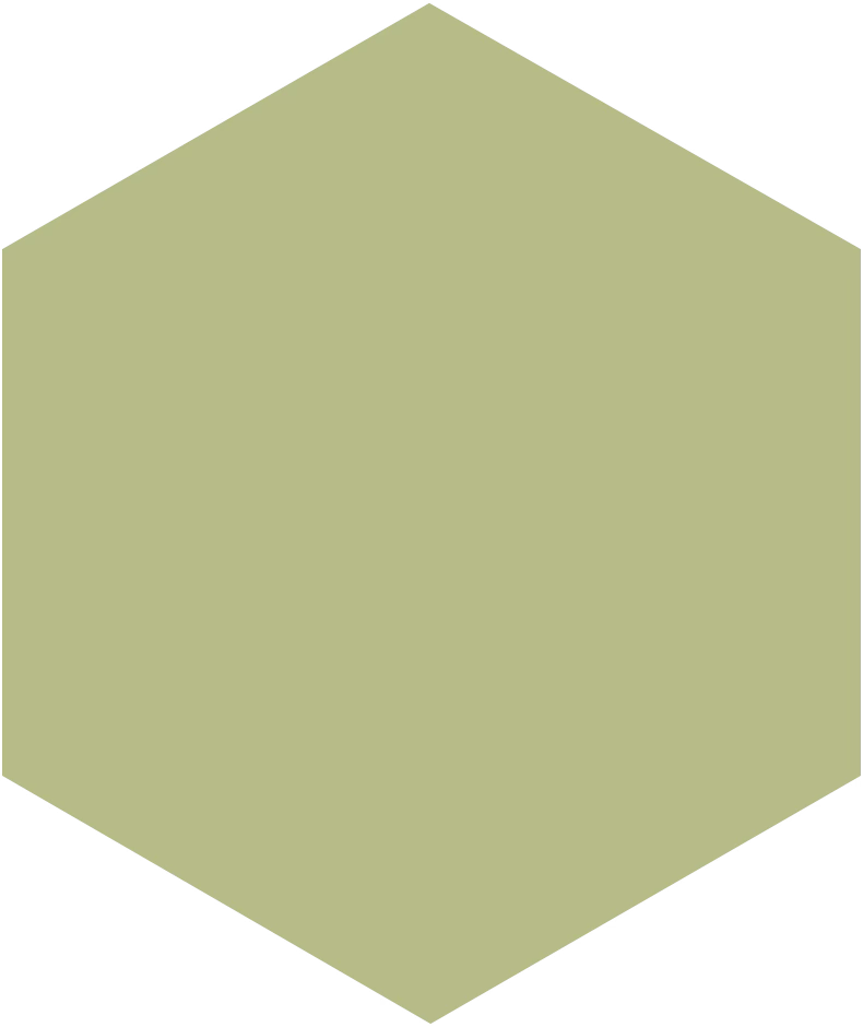 Christmass Postcards