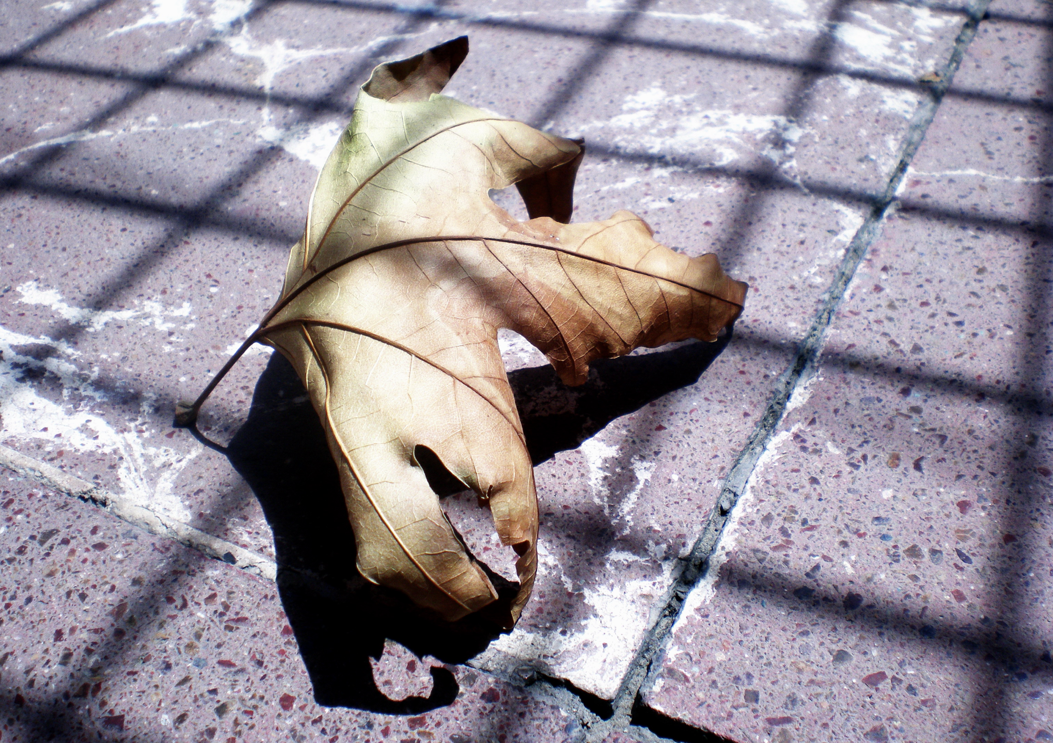 Free HTML5 Website Template by FreeHTML5.co